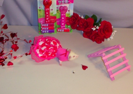 Valentine's Day Pinky Sue