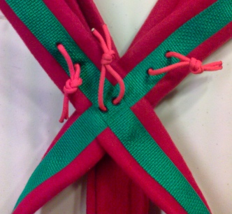 Multipurpose Sled Dog Harness Green/Red close up
